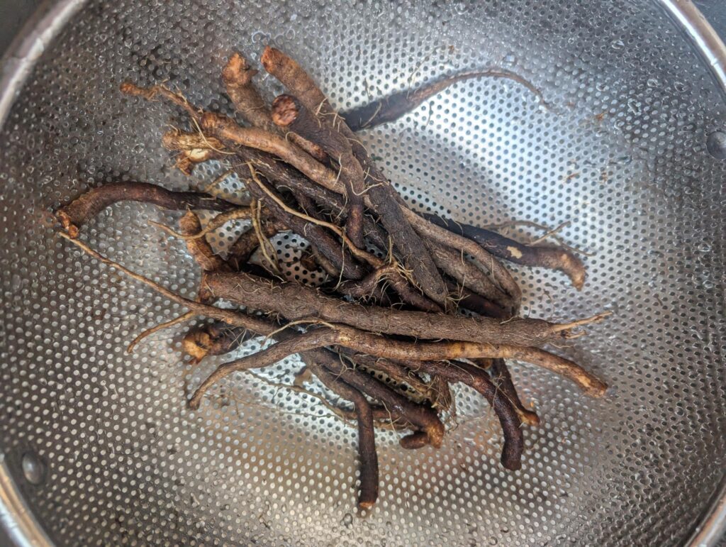 Scorzonera roots cut from the plant and in a strainer after being washed. Long, very thin Black Salsify roots covered in a rough black-brown-grey skin. Mild artichoke flavor, reviewed as bland.