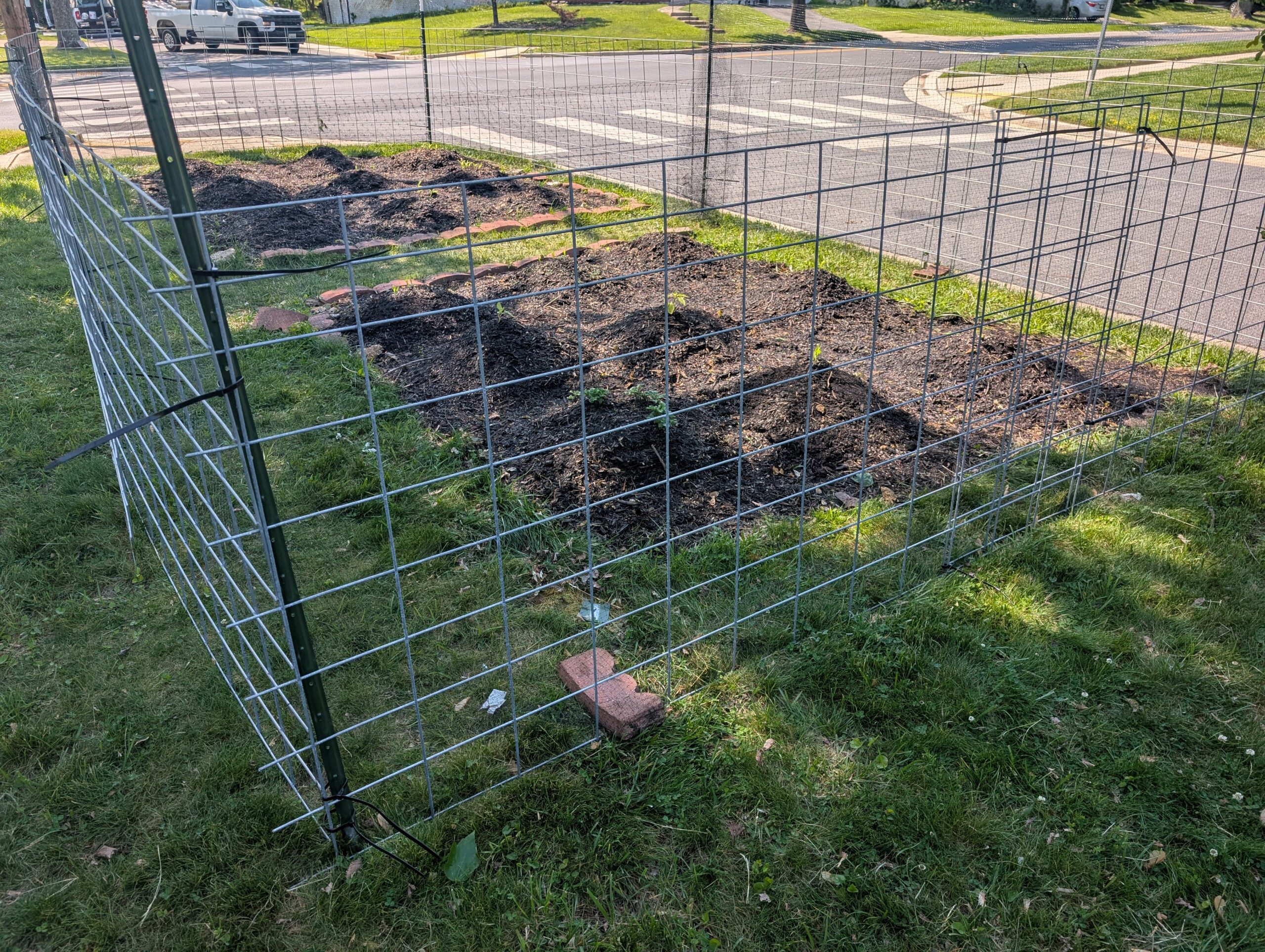 The garden bed I designed for a client, two beds with nine mounds each instead of rows, surrounded by fencing.